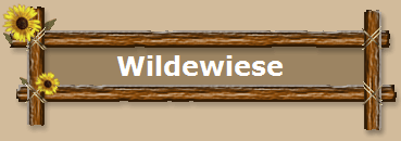 Wildewiese